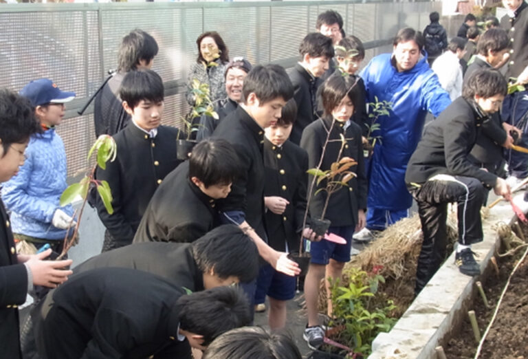 獨協の森（鎮守の杜）